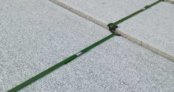 林芝 芝麻白斧剁面