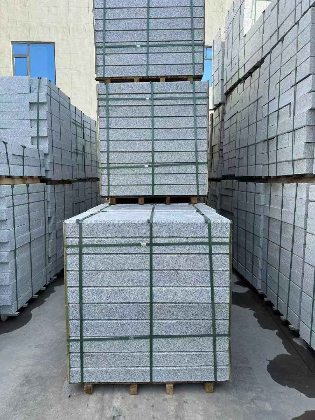 林芝 公园台阶石