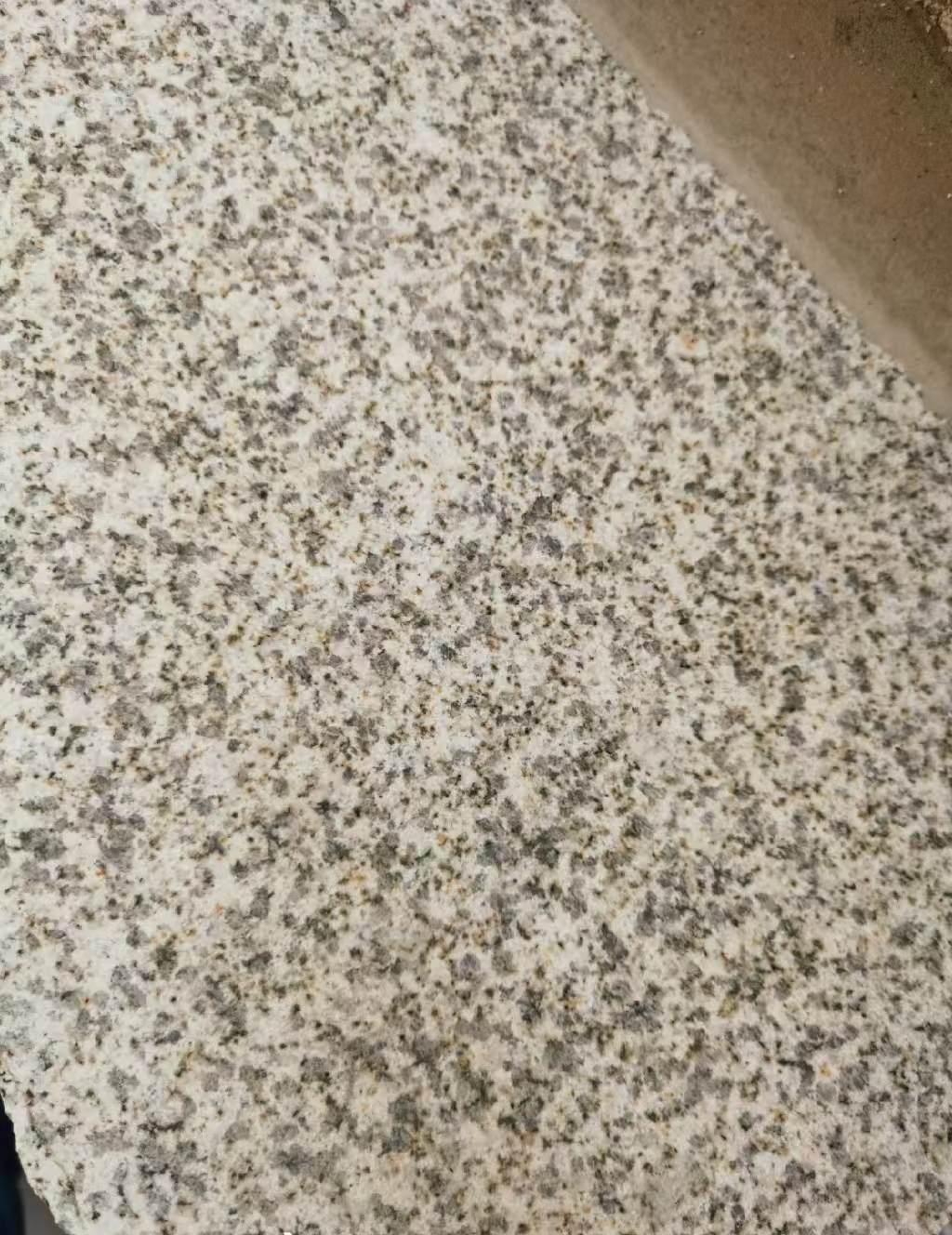 林芝 黄金麻中黄光面