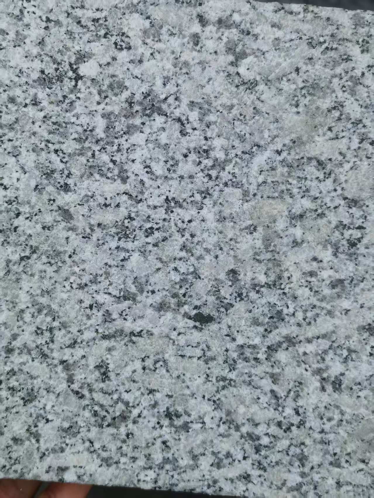 林芝 芙蓉白火烧面