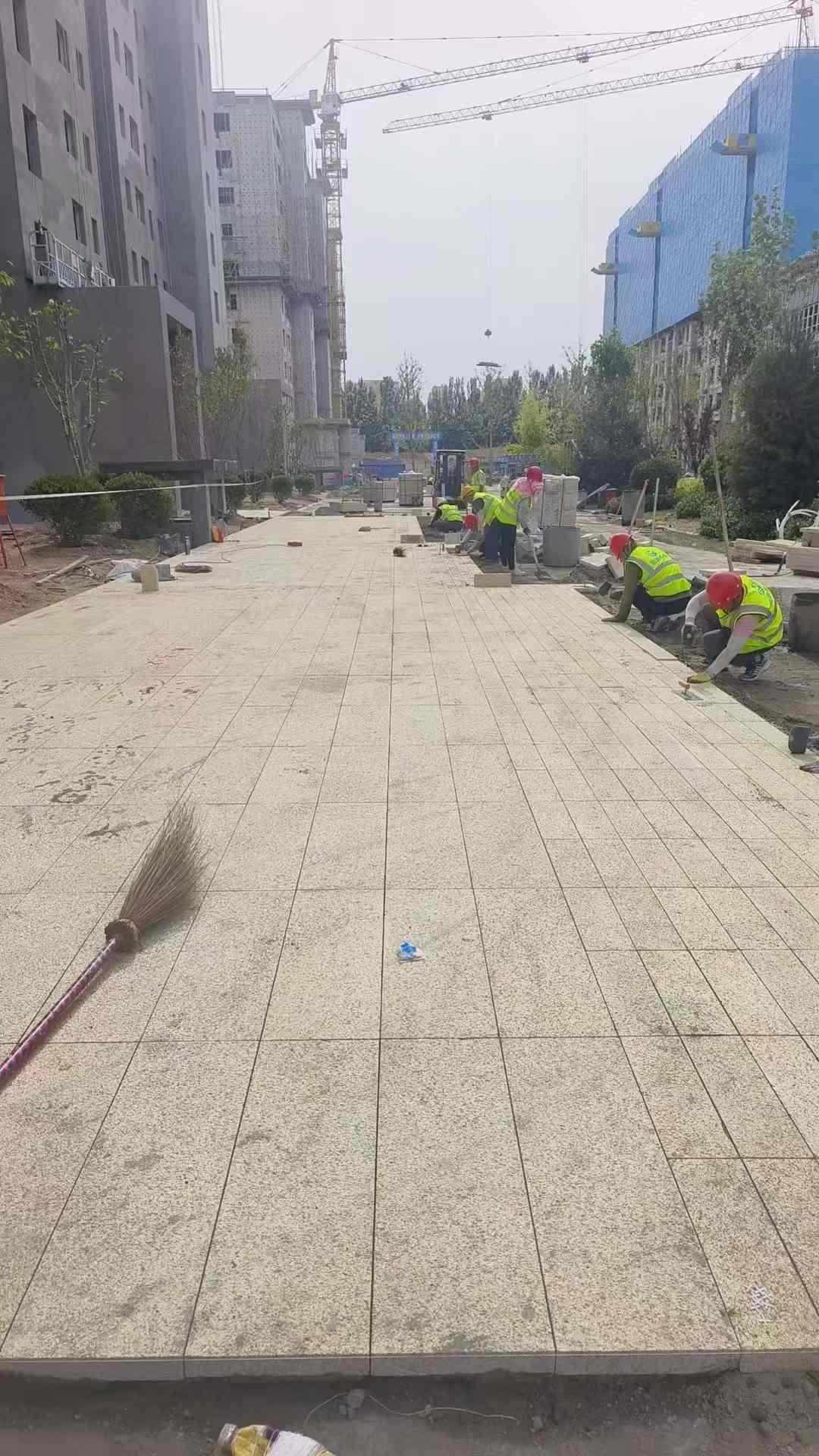 林芝黄金麻荔枝面地铺案例