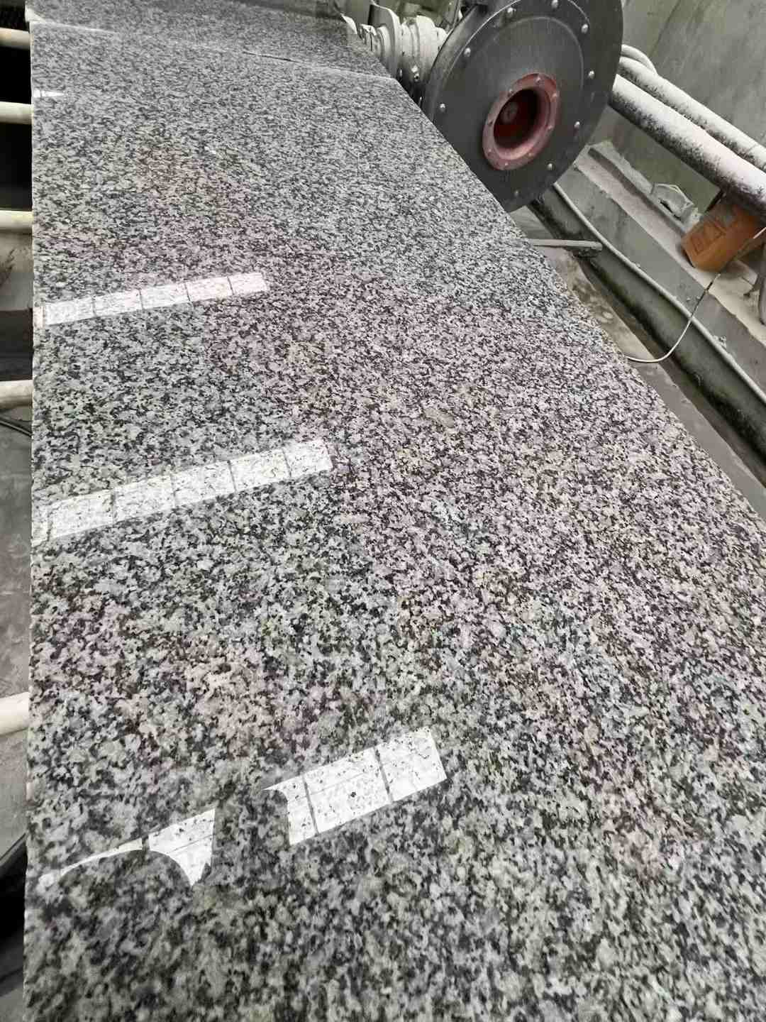 林芝 芙蓉白光面